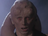 Legends:Bib Fortuna
