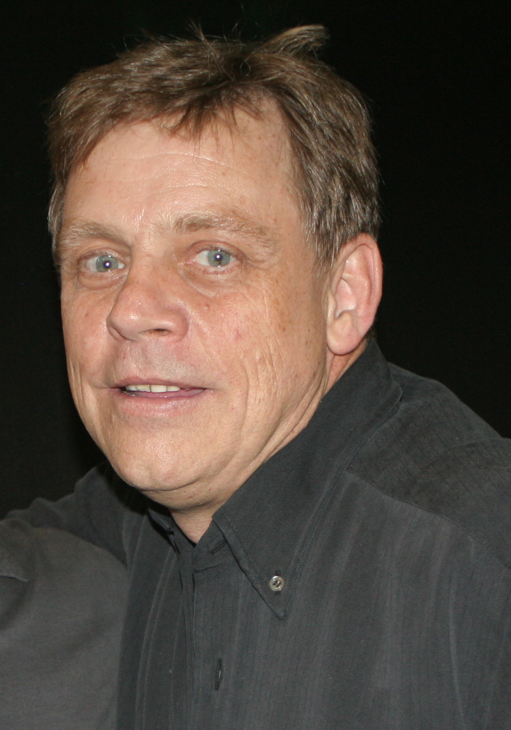 Mark Hamill (25 de Setembro de 1951), Artista