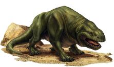Dewback NEGAS (1).jpg