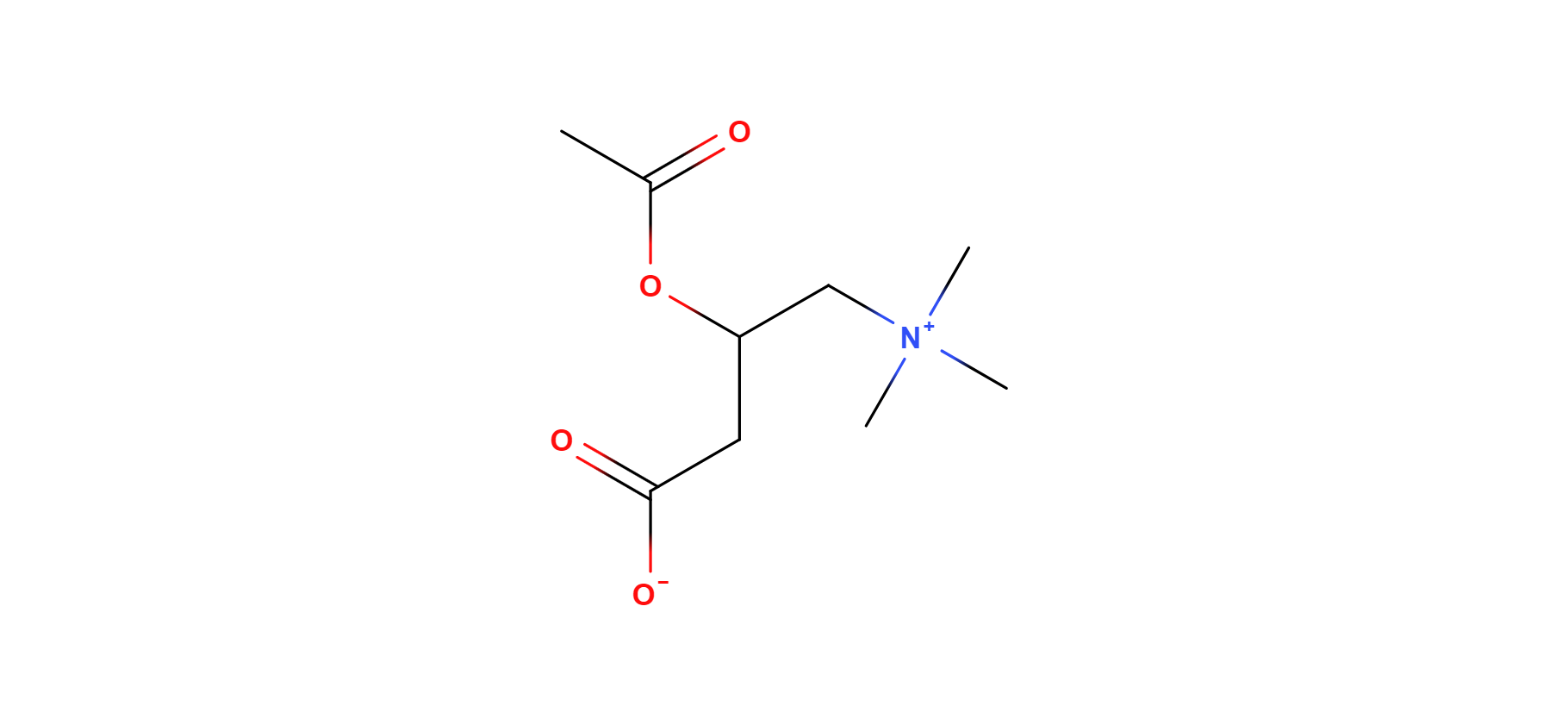 Acetylcarnitine | Pubchem Chemical Compounds Wiki | Fandom Acetylcarnitine | Pubchem Chemical Compounds Wiki | Fandom