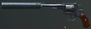 R1895 with suppressor