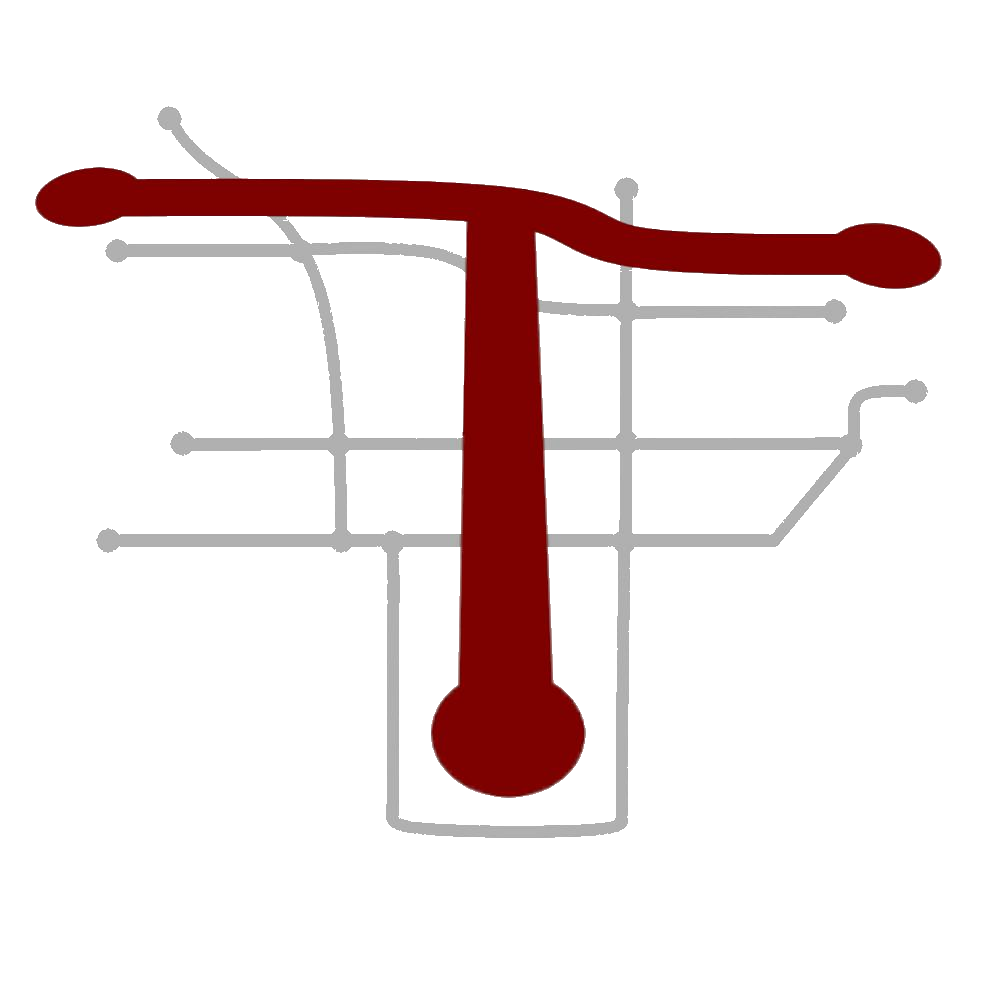 Toronto Region Transportation Authority Roblox Public Transit Wiki Fandom - roblox royal transit authority