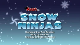 Snowninjas
