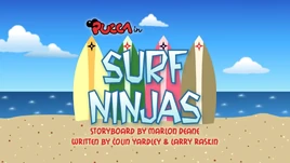 EP17SurfNinjas