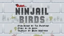 EP9NinjailBirds
