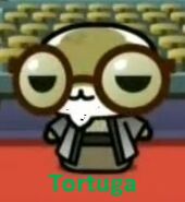 Tortuga1-1-