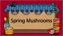 SpringMushrooms