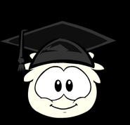 Puffle-hat-5