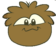 Brown puffle erqew