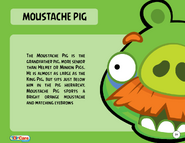 1000px-Moustache Pig Toy Care