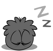 Black puffle sleeping