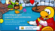 Club-Penguin-2012-05-31 14.41