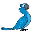 Blu bird