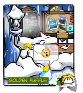 Gold Puffle 