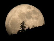 Super-moon-2011-tim-mccord-entiat-wash