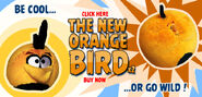 Orange-bird