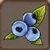Blueberries