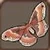 Promethea Silkmoth