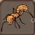 Fire Ant