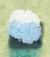 48h babys breath