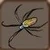 Golden silk orbweaver 15