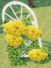 Trellis yellow