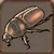 Dung beetle 0