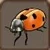 Lady bug 15