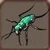 Tiger beetle 15