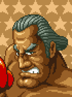 SuperMachoManPortraitBig