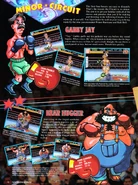 Artwork from a Nintendo Power page