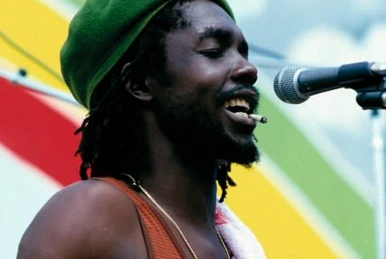 Reggae:Hans Söllner | Punk-Wiki