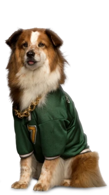 Ruff | Pup Star Movies Series Wiki | Fandom