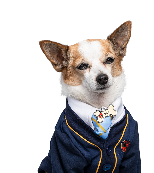 Bite Pup Academy Wiki Fandom