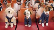 Spark, Corazon, and Whiz sitting in assembly