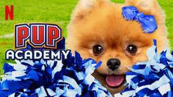 Pom-Pom, Pup Academy Wiki