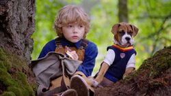 Pup Academy Wiki Fandom Pup Academy Wiki Fandom