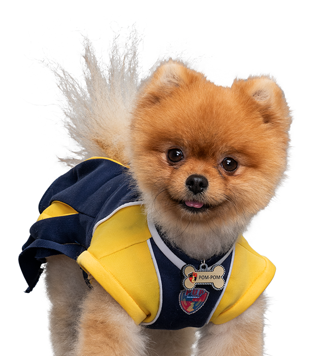 Pom Pom Pup Academy Wiki Fandom