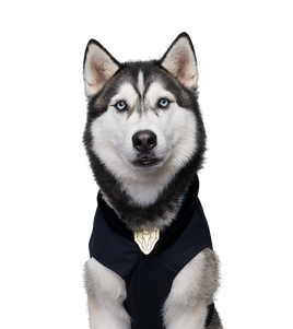 D.O.G.