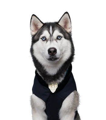 D.O.G. | Pup Academy Wiki | Fandom