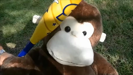 Fantasy & Market Impact