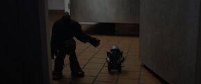 Littlest reich itune (28)