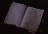 In 1989 Megan Gallagher finds Andre's diary and it says that on March the 3rd he gave life to his first puppets