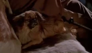 The Lost Boys (1987) uses the same prop