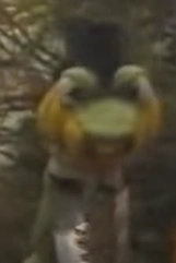 Sir Python Snake | Puppet Wiki | Fandom