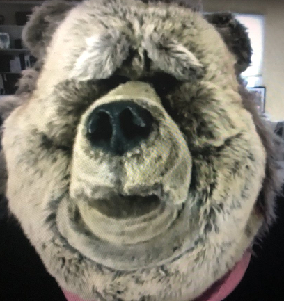 Jules the Bear Puppet Wiki Fandom