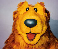 Bear (BITBBH) is a character from Bear in the Big Blue House