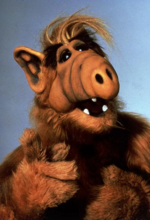 ALF_2.png