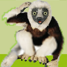 Zoboomafoo (Character) | Puppet Wiki | Fandom