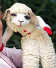 Lamb Chop cropped